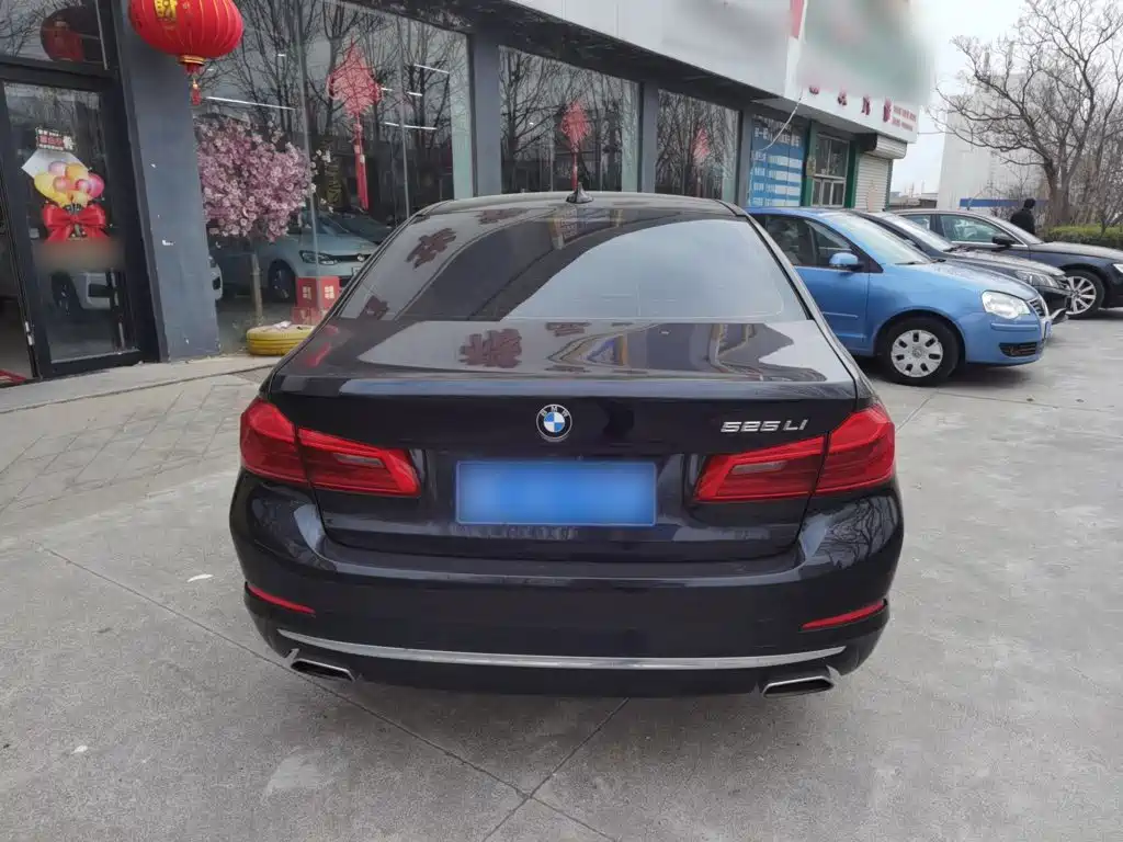 BMW 5 Series 525 Li Luxury Package