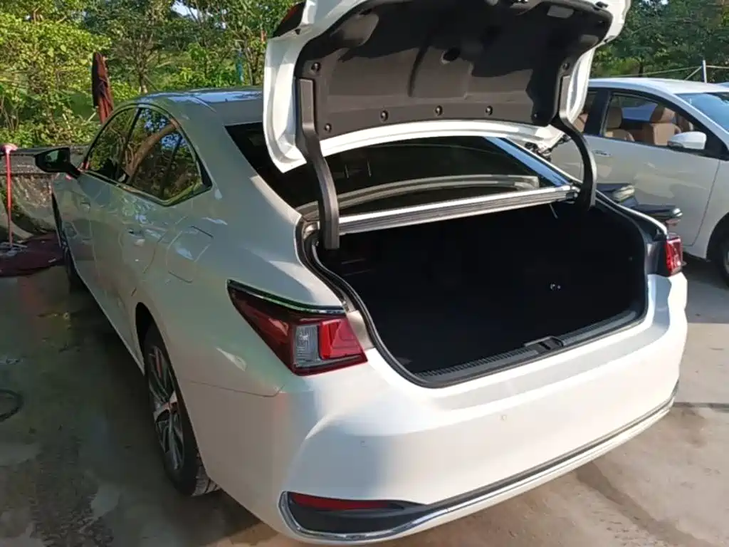 Lexus ES 200 Outstanding CN-V