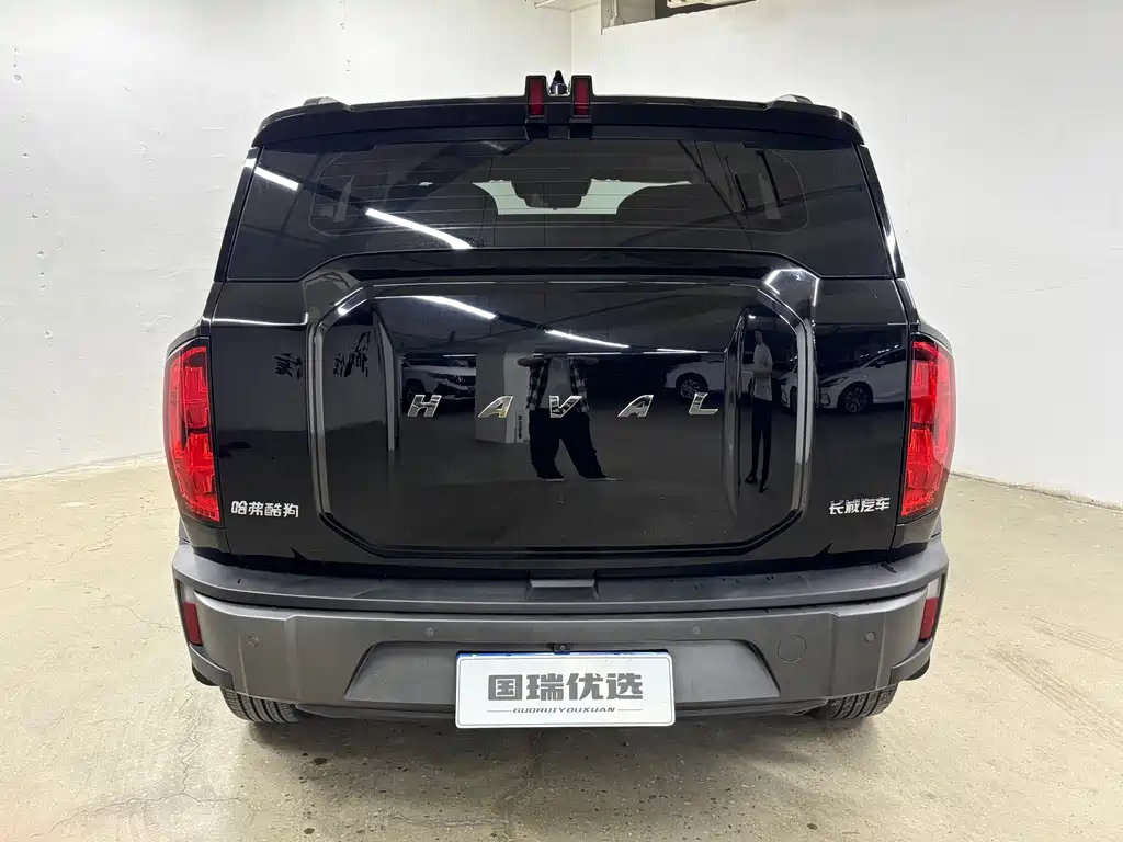 Haval Cool Dog 1.5 T DCT 2 WD Trend Cool