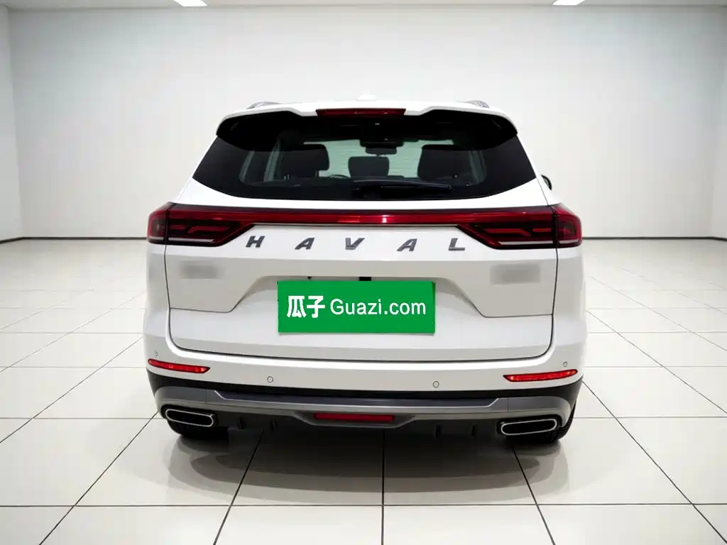 Haval H6 China Style 1.5 T Auto Champion