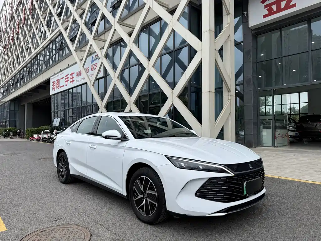Qin L DM-i 120 KM Transcend