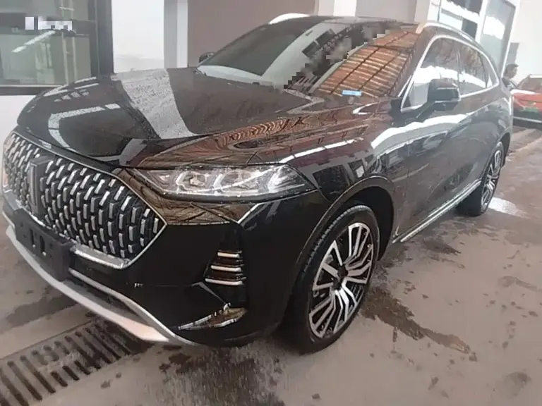WEY Mocha 2.0 T 4 WD Pure