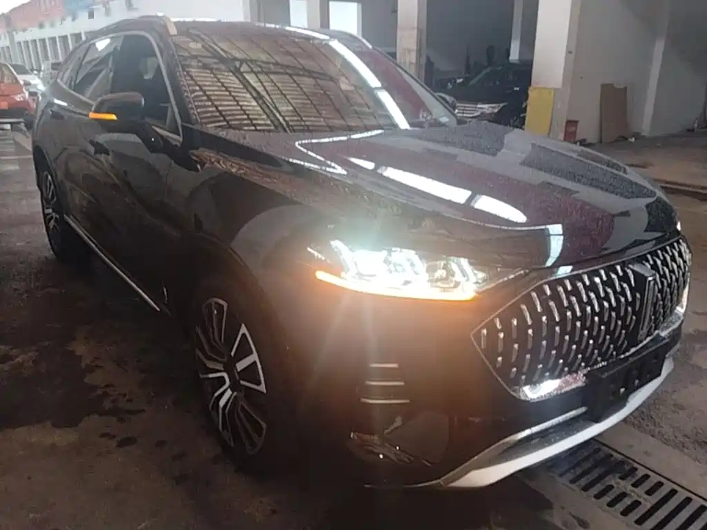 WEY Mocha 2.0 T 4 WD Pure