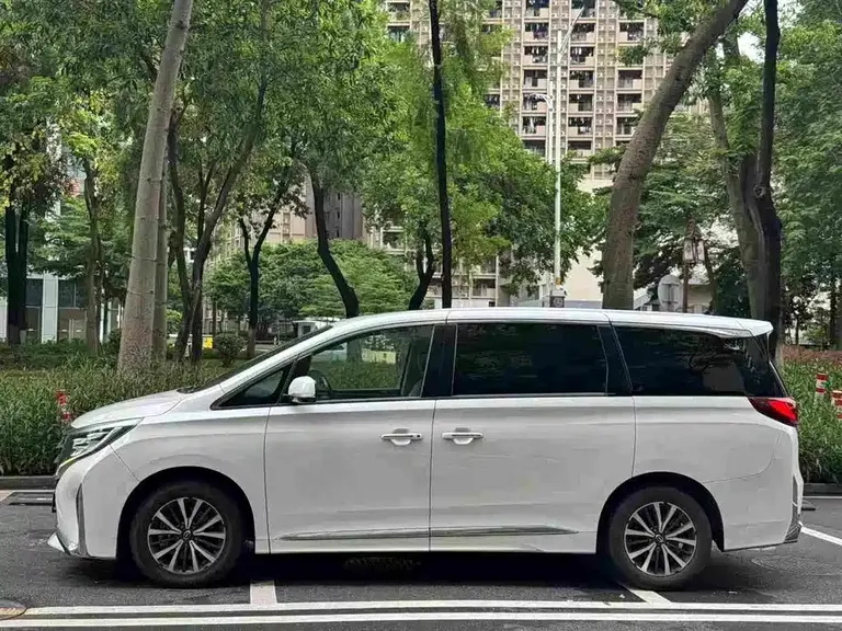GAC Trumpchi M8 Leading Show Series 390 T Premium