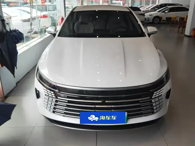 BYD Destroyer 05 Glory DM-i 55 KM Luxury