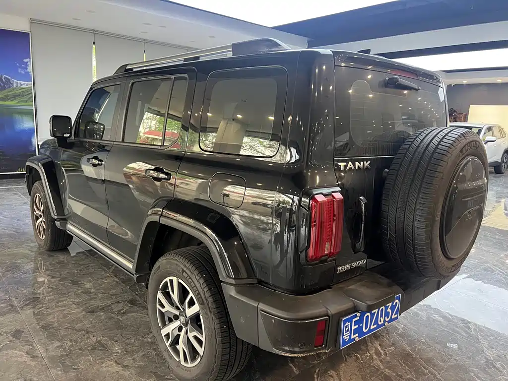 Tank 300 City 2.0 T Very