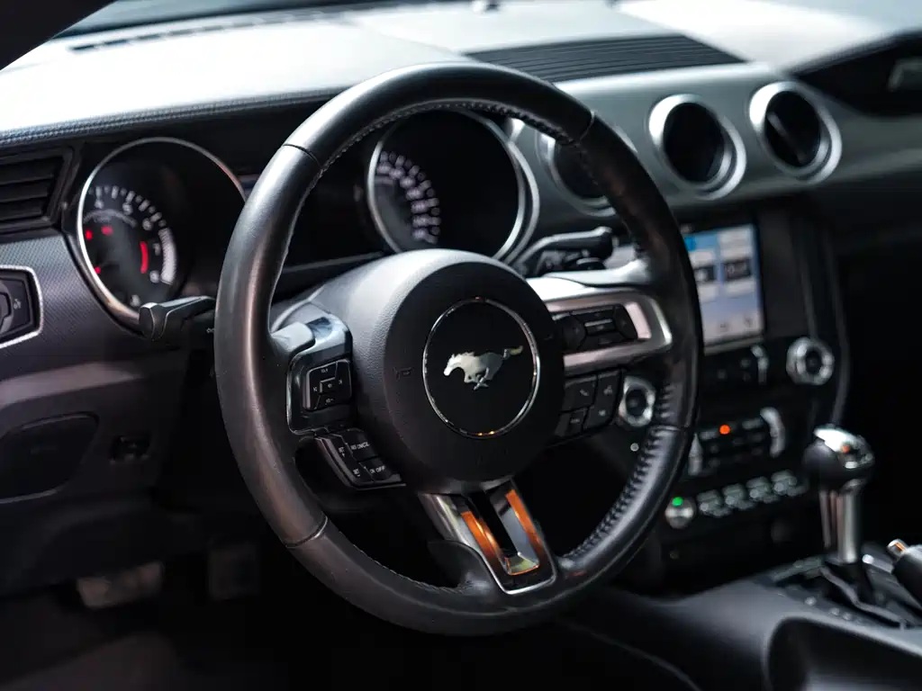 Mustang 2.3 T Performance