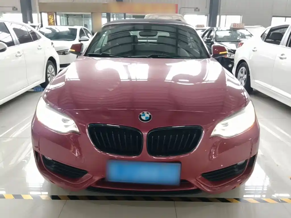 BMW 2 Series (Import) 218 i Convertible Coupe