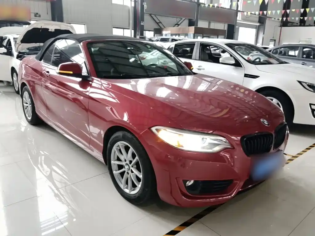 BMW 2 Series (Import) 218 i Convertible Coupe