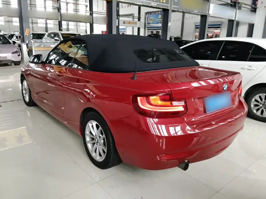 BMW 2 Series (Import) 218 i Convertible Coupe
