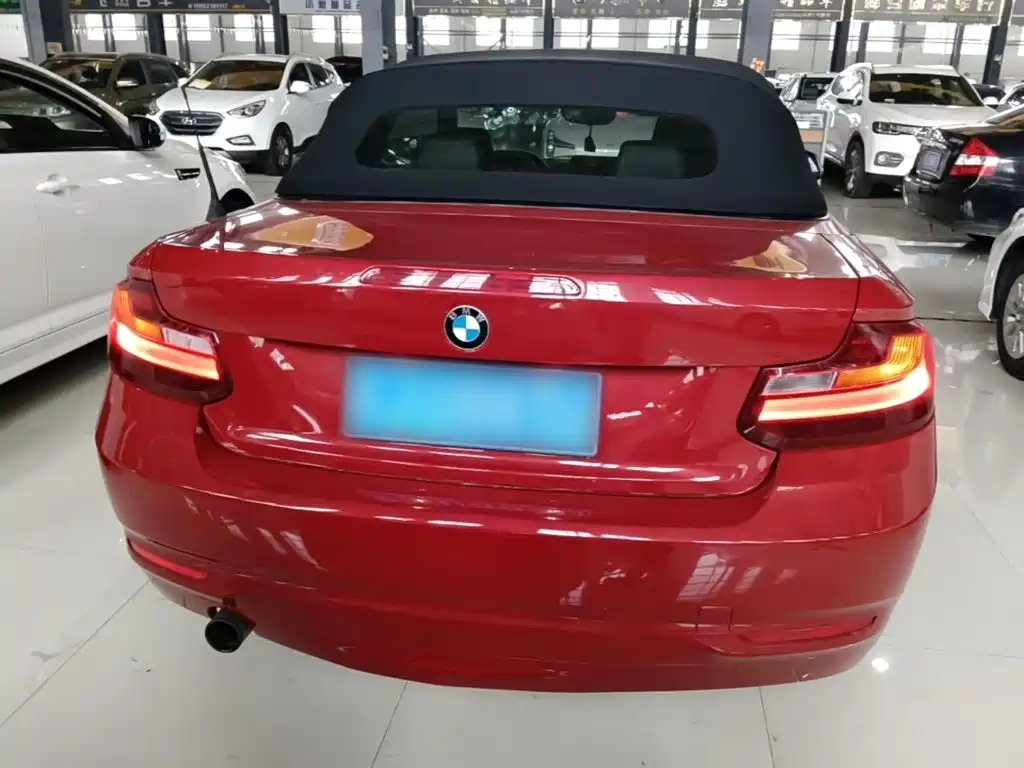 BMW 2 Series (Import) 218 i Convertible Coupe