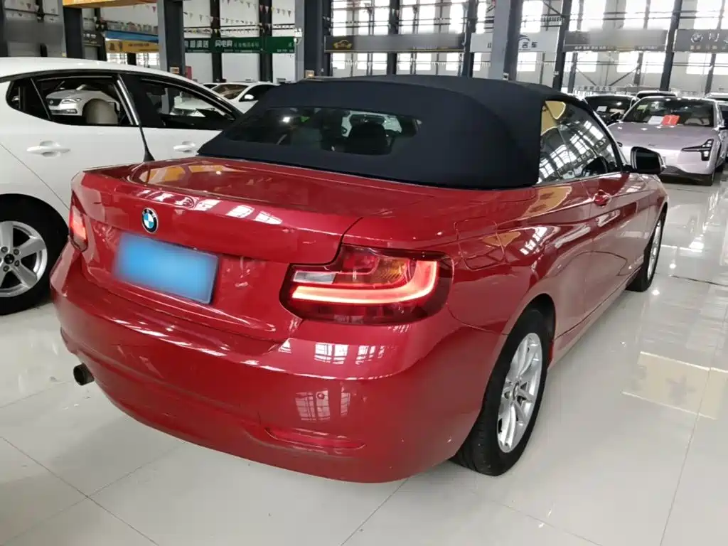 BMW 2 Series (Import) 218 i Convertible Coupe