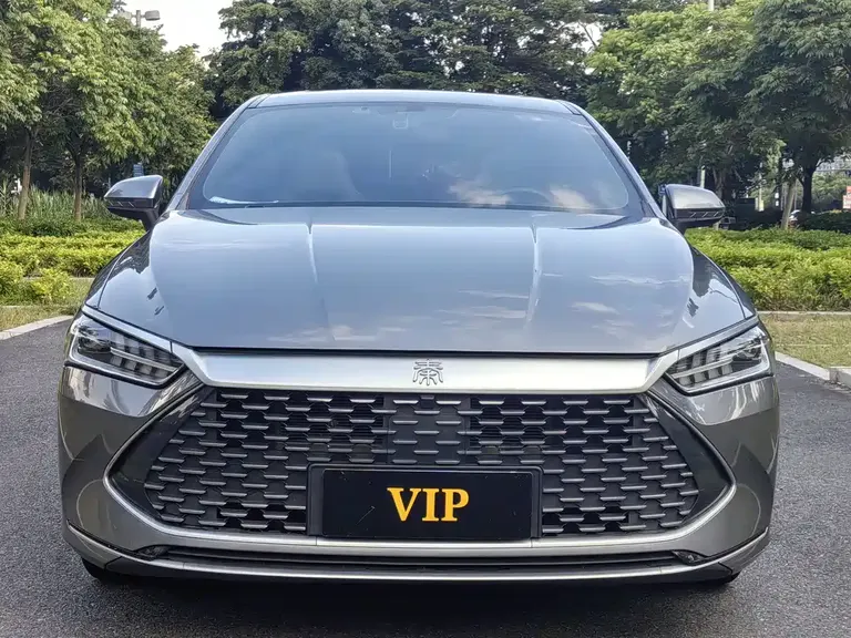 BYD Qin PLUS Champion DM-i 120 KM Leading
