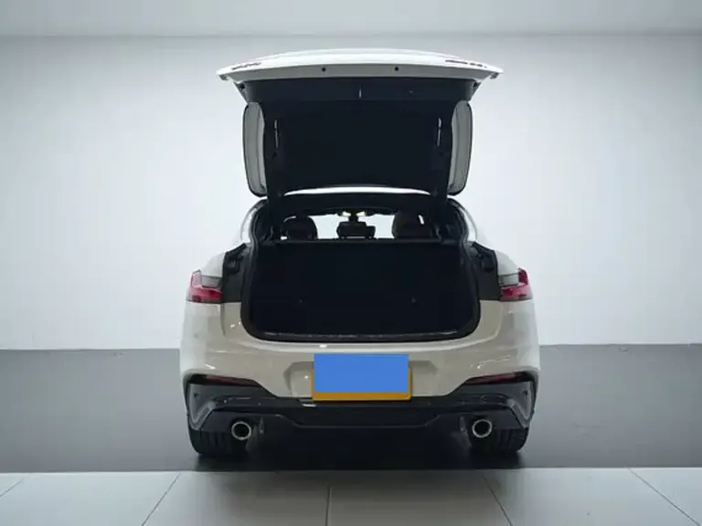 BMW X4 xDrive25 i M Sport Package