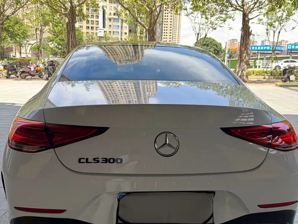 Mercedes-Benz CLS CLS 300 Dynamic