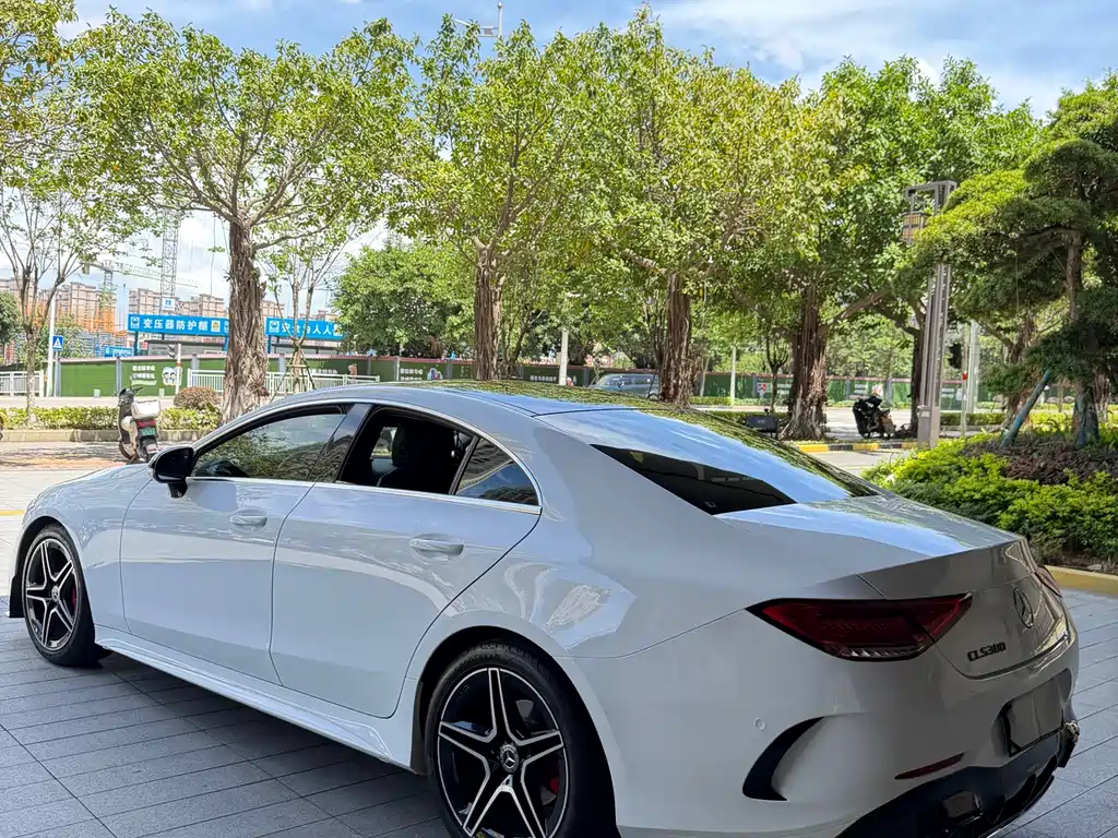 Mercedes-Benz CLS CLS 300 Dynamic