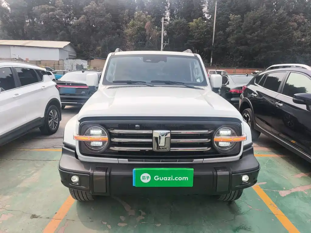 Tank 300 City 2.0 T Very