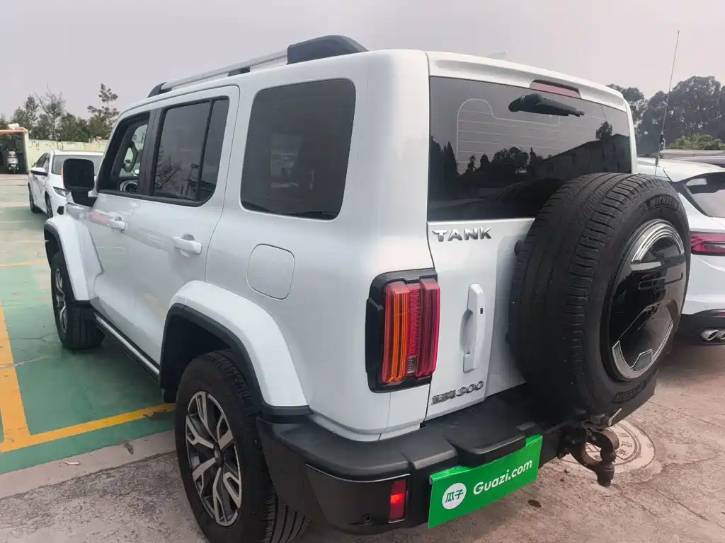 Tank 300 City 2.0 T Very
