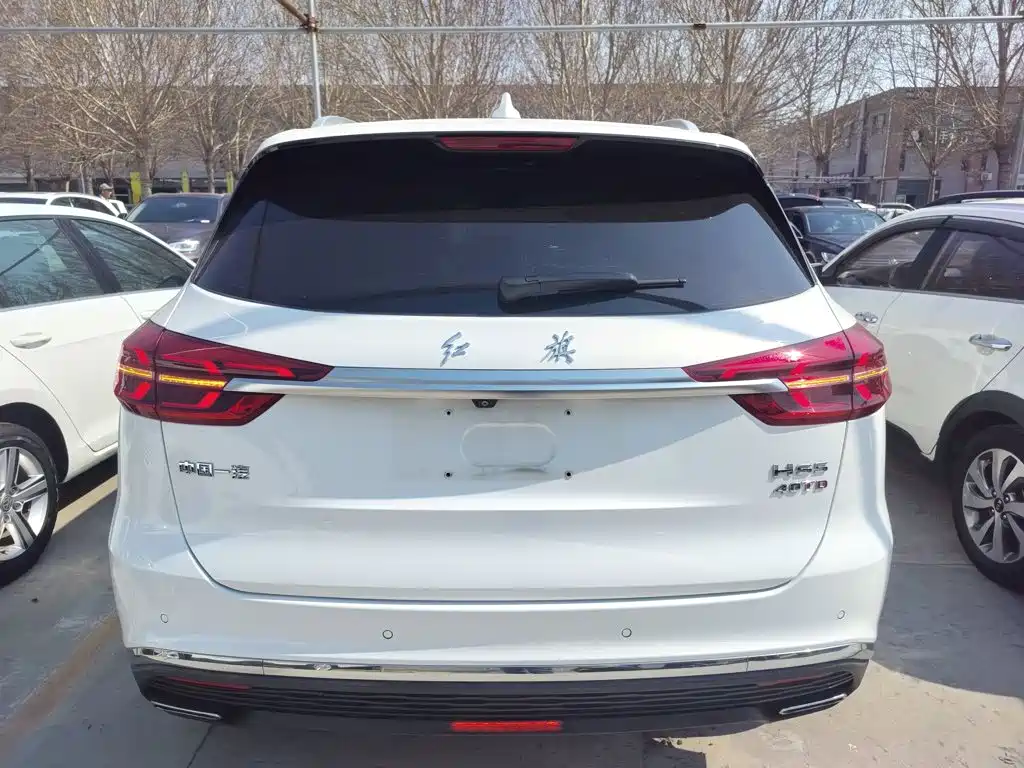 Hongqi HS5 2.0 T Connected Flagship Leading