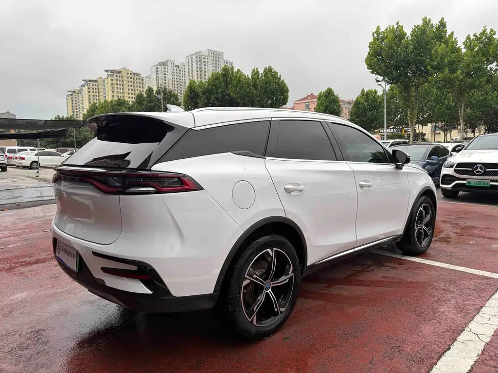 Tang NEV DM 2.0 T Dual Engine 4 WD Distinguished 7-seat CN-VI