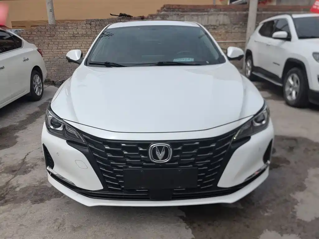 Ruicheng CC Blue Whale 1.5 T DCT Luxury