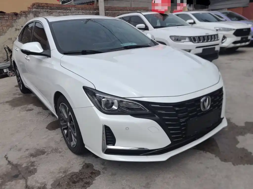 Ruicheng CC Blue Whale 1.5 T DCT Luxury