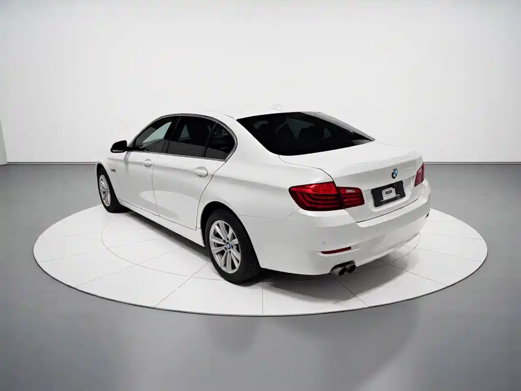 BMW 5 Series 520 Li Elegant