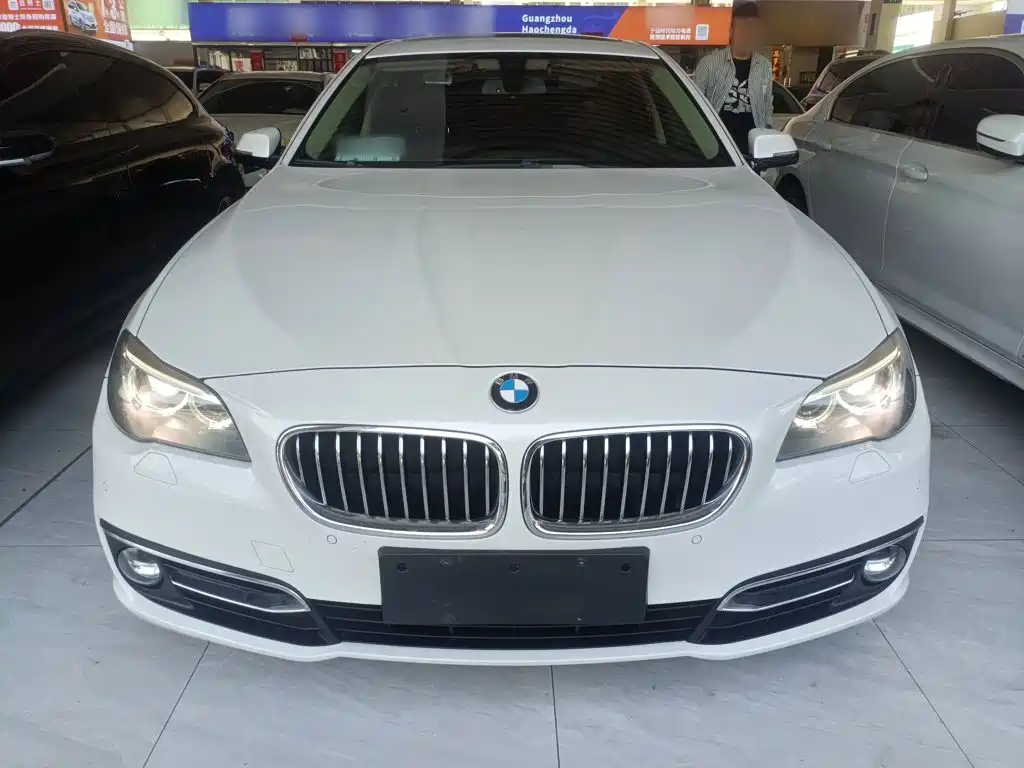 BMW 5 Series 525 Li Luxury Design Package