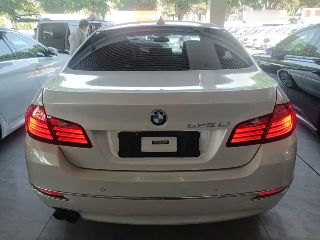 BMW 5 Series 525 Li Luxury Design Package
