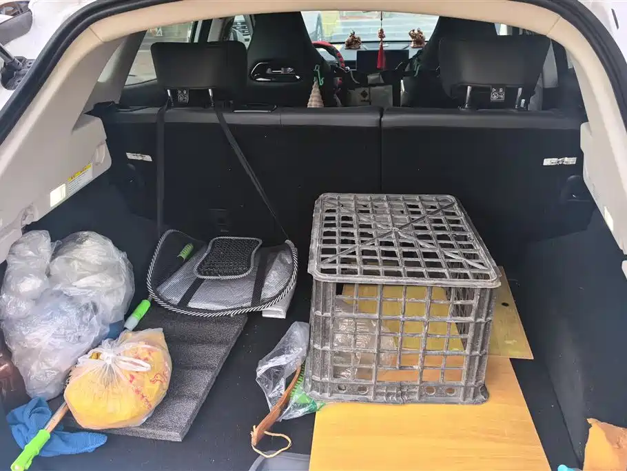 Jetour Dasheng 1.5 T DCT Luxury