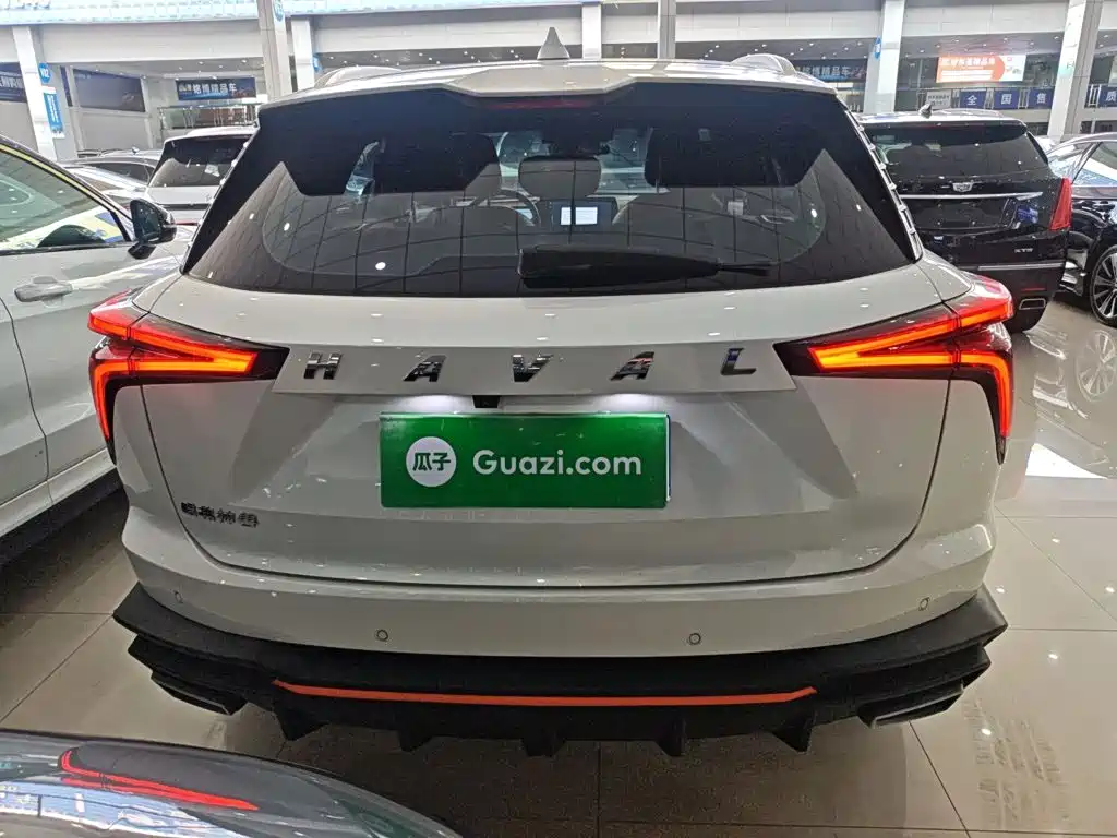 Haval Shenshou 1.5 T Smart Enjoyment