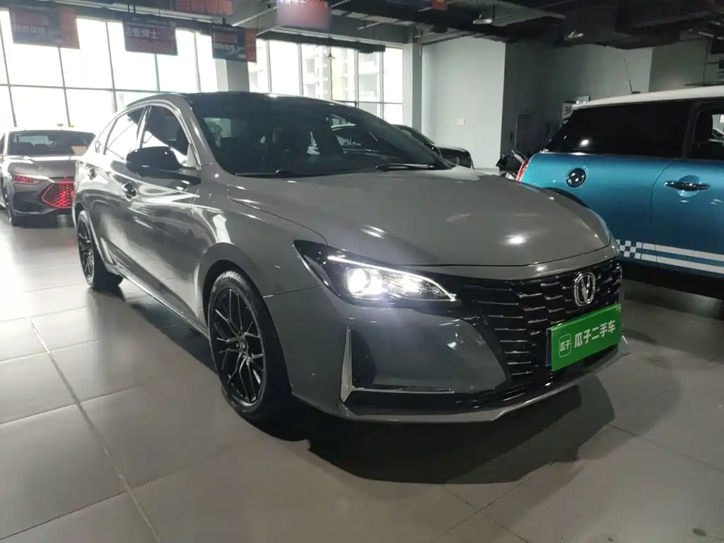 Ruicheng CC Blue Whale 1.5 T DCT Luxury