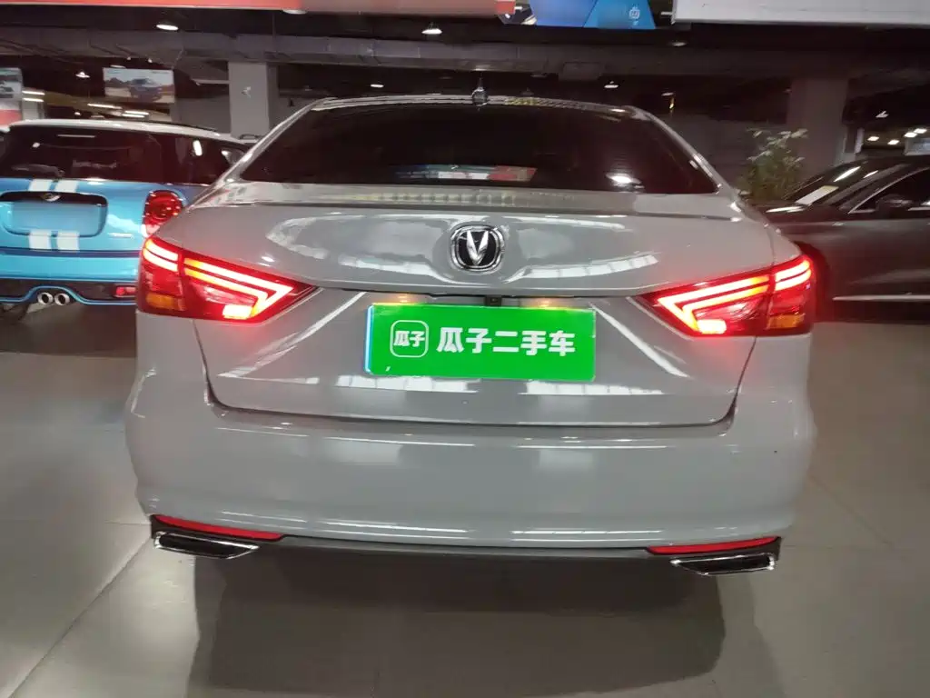 Ruicheng CC Blue Whale 1.5 T DCT Luxury