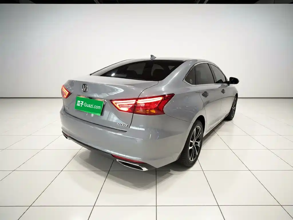 Ruicheng CC Blue Whale 1.5 T DCT Luxury