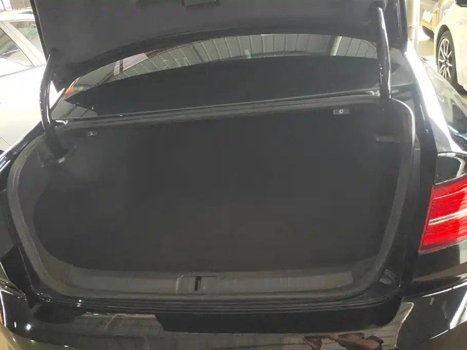 Magotan 330 TSI DSG Leading