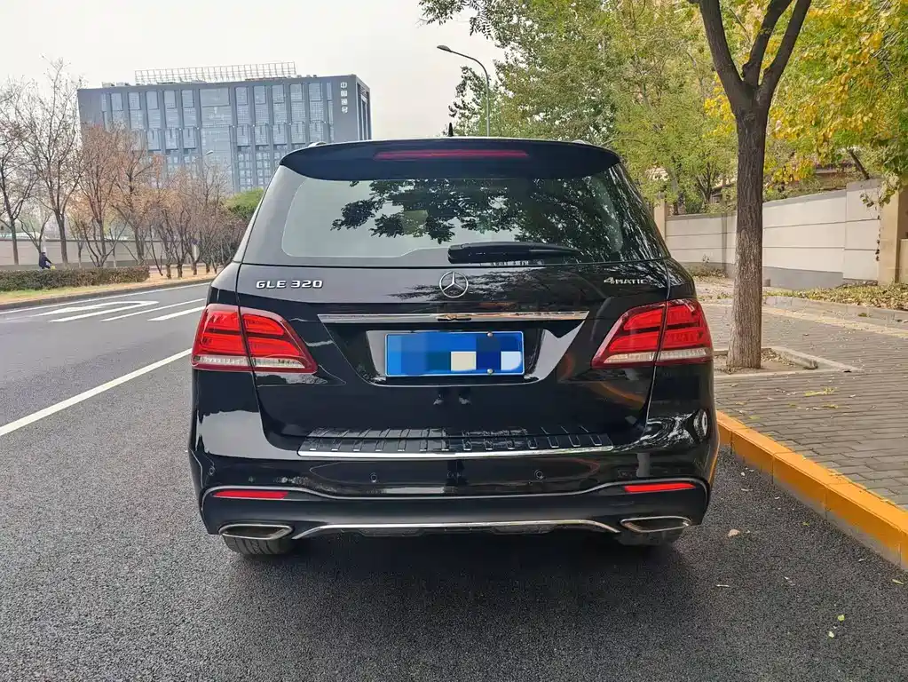 Mercedes-Benz GLE 奔驰GLE进口 2017款 GLE 320 4 MATIC 动感型