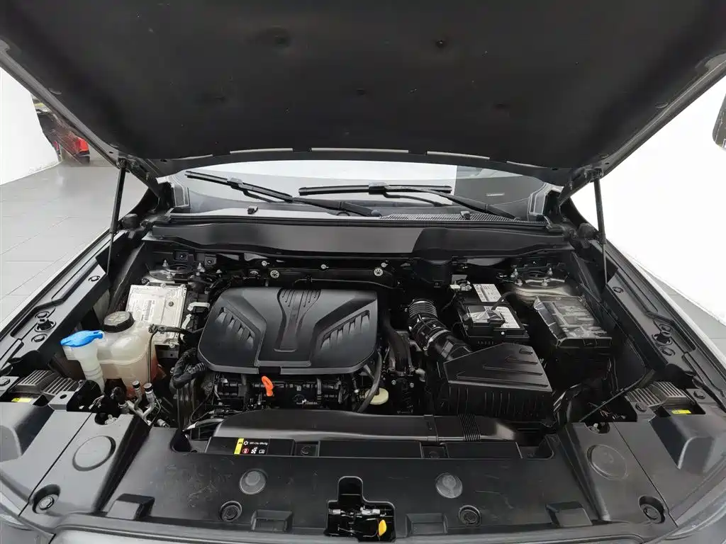 Haval Dargo 2.0 T DCT 4 WD Brilliance Country Dog Hunt