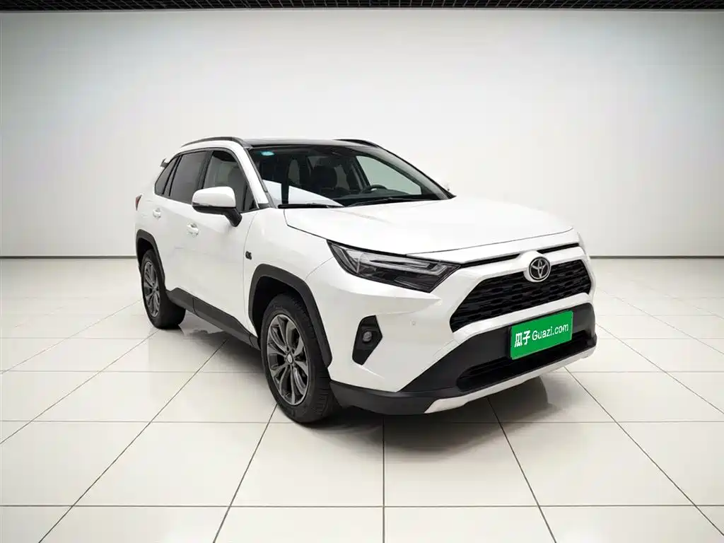 RAV4 2.0 L CVT 2 WD 20 Anniversary Platinum Commemorative