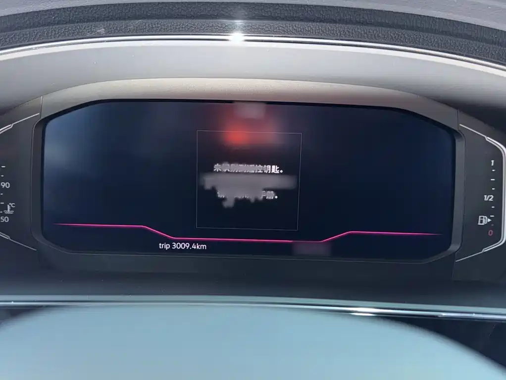 Passat 330 TSI Starry Sky Luxury