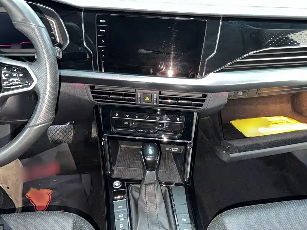 Passat 330 TSI Starry Sky Luxury