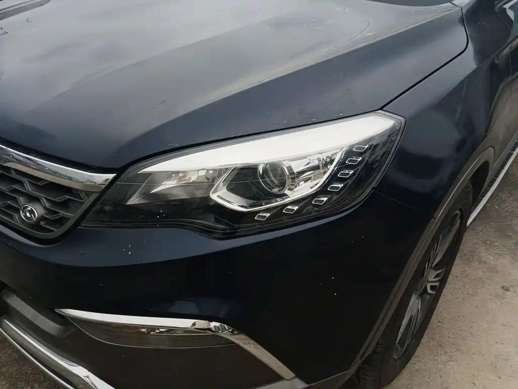 Leopaard CS10 2.0 T Manual Outstanding