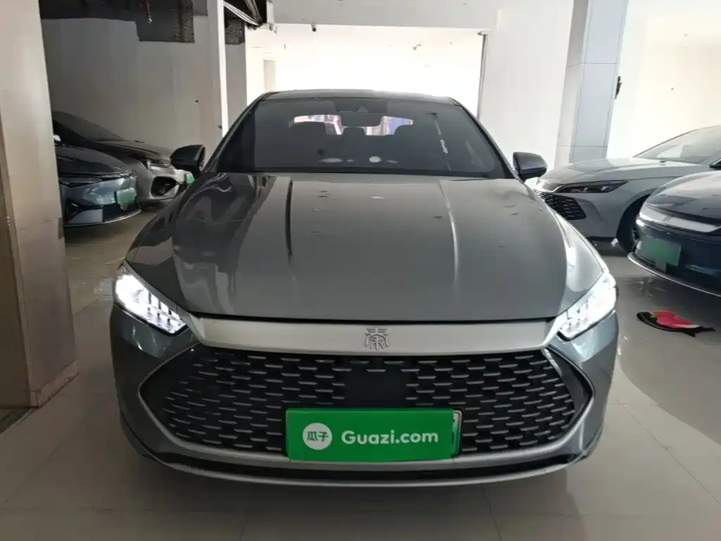 Qin PLUS DM-i 120 KM Flagship