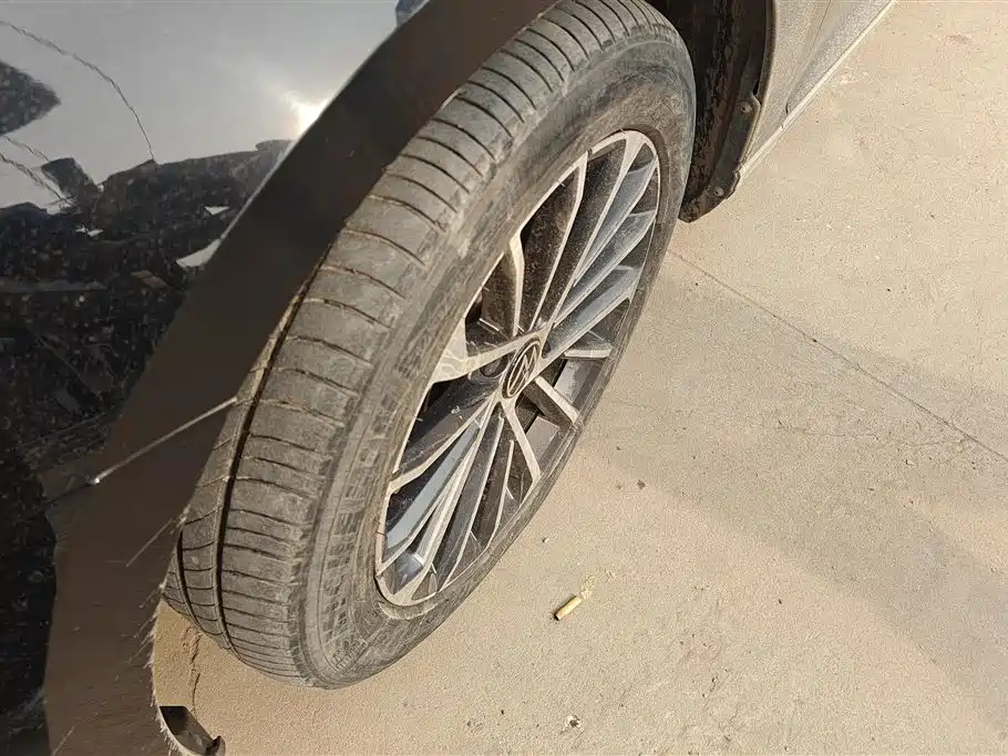 Magotan 330 TSI DSG Luxury