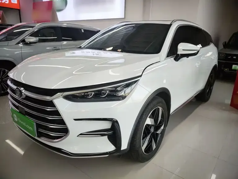 BYD Tang NEV DM-i Champion 112 KM Honored
