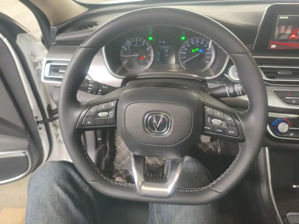 Ruicheng CC Blue Whale 1.5 T DCT Luxury