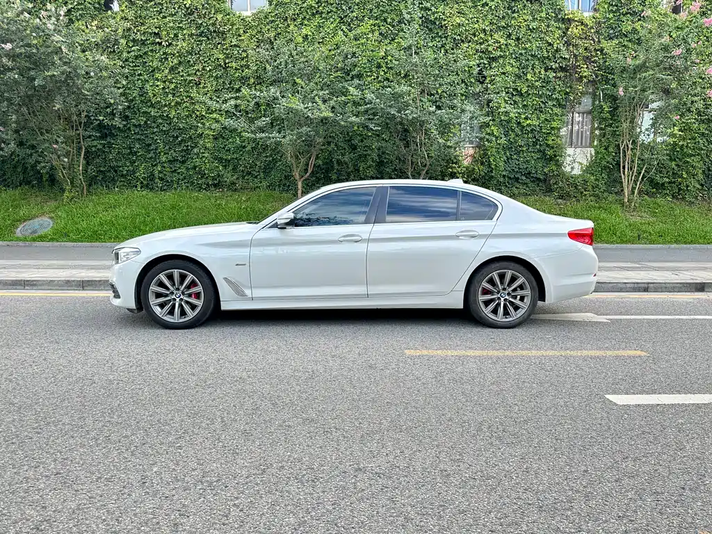 BMW 5 Series 528 Li Launch Special Edition