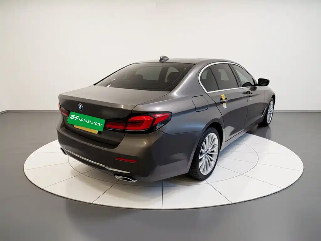 BMW 5 Series 530 Li Premium Luxury Package