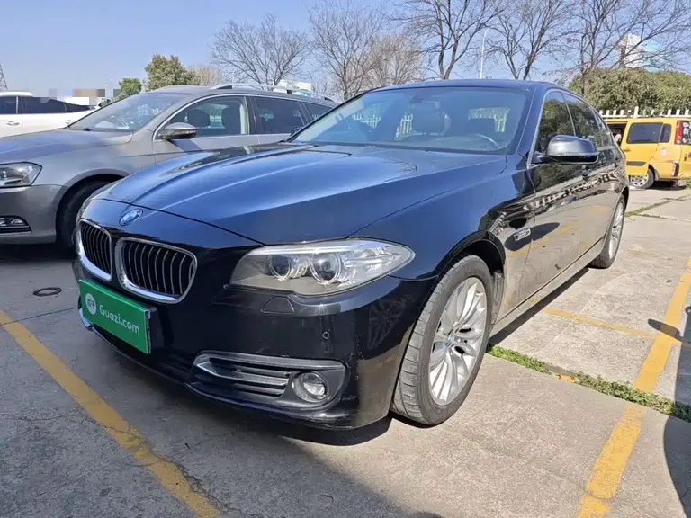BMW 5 Series 525 Li Luxury Design Package