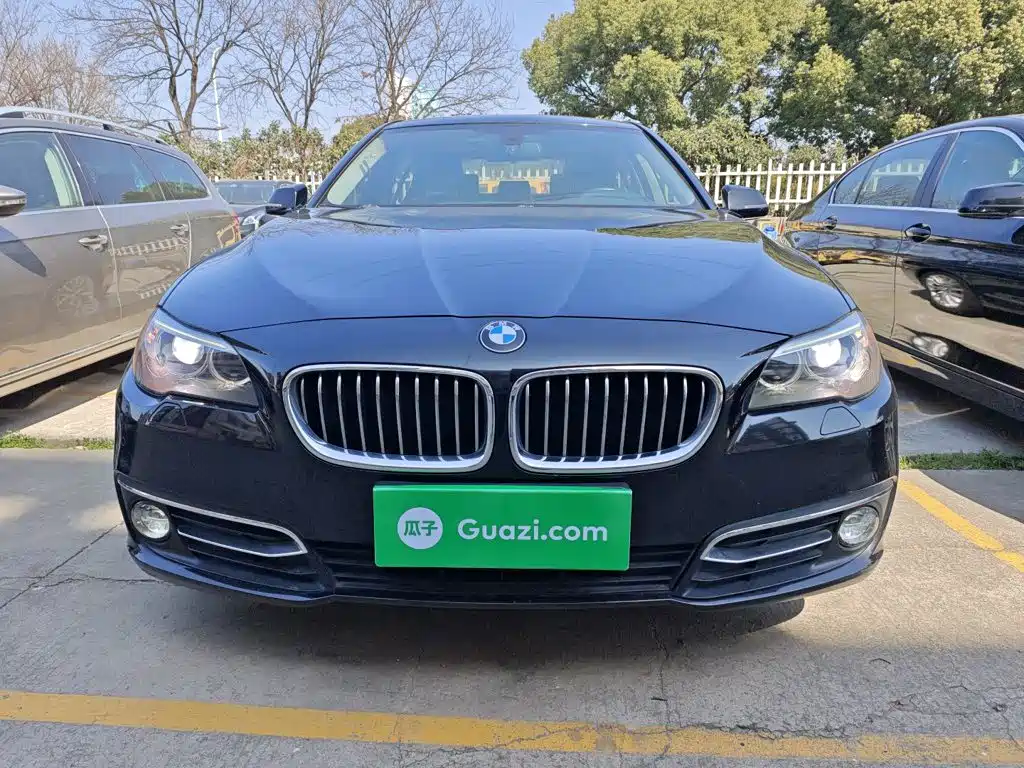 BMW 5 Series 525 Li Luxury Design Package