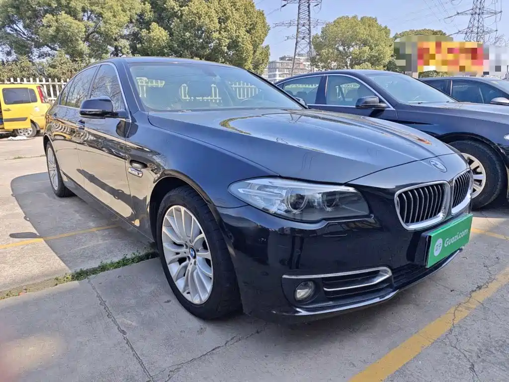 BMW 5 Series 525 Li Luxury Design Package